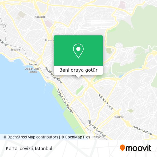 Kartal cevizli harita