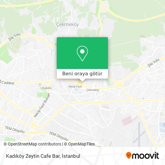 Kadıköy Zeytin Cafe Bar harita