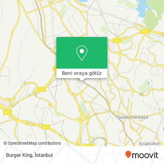 Burger King harita