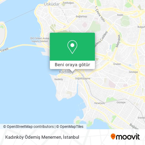 Kadınköy Ödemiş Menemen harita