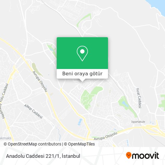 Anadolu Caddesi 221/1 harita