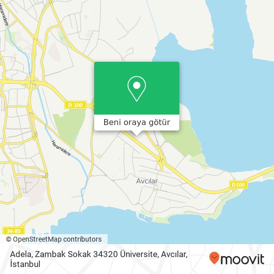 Adela, Zambak Sokak 34320 Üniversite, Avcılar harita