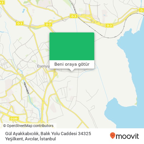 Gül Ayakkabıcılık, Balık Yolu Caddesi 34325 Yeşilkent, Avcılar harita