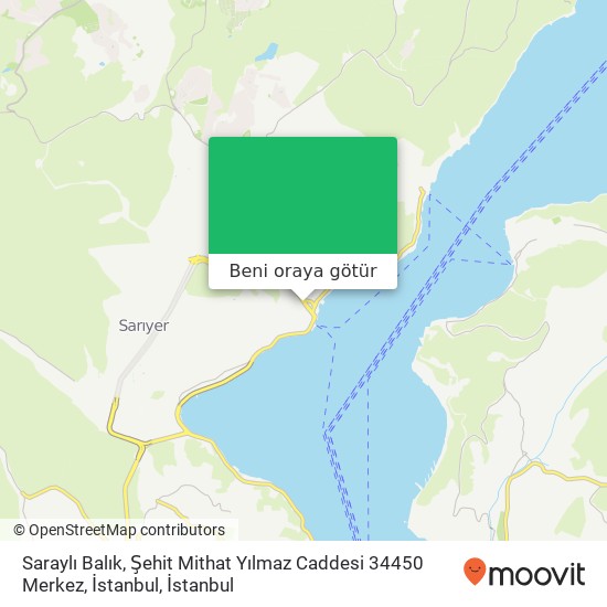 Saraylı Balık, Şehit Mithat Yılmaz Caddesi 34450 Merkez, İstanbul harita