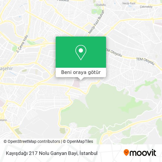 Kayışdağı 217 Nolu Ganyan Bayi harita