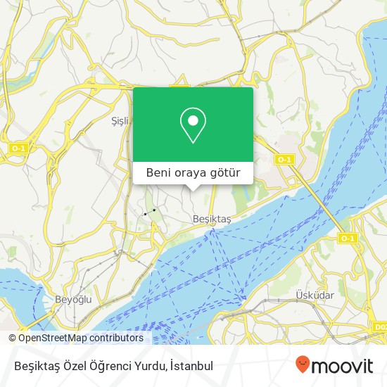 Beşiktaş Özel Öğrenci Yurdu harita