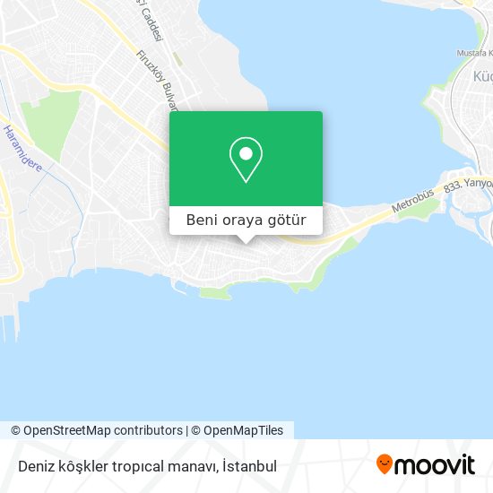 Deniz kôşkler tropıcal manavı harita