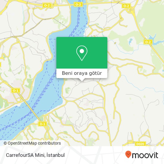 CarrefourSA Mini harita