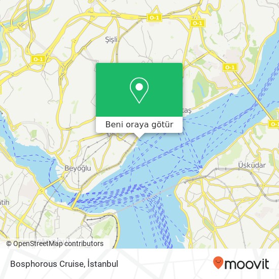 Bosphorous Cruise harita