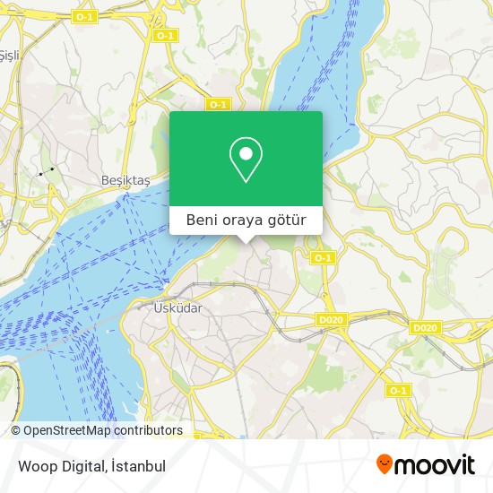 Woop Digital harita