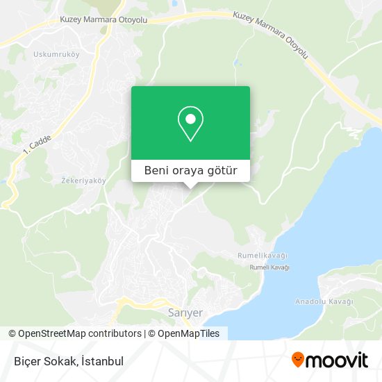 Biçer Sokak harita