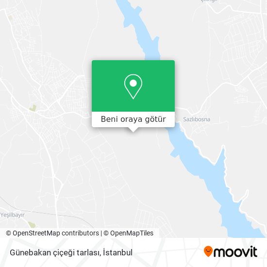 Günebakan çiçeği tarlası harita