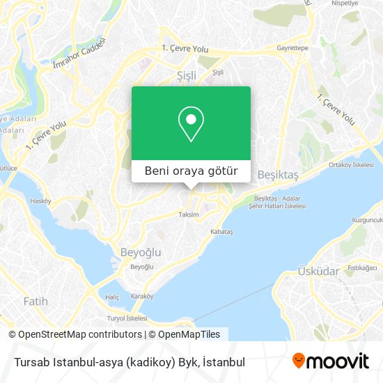 Tursab Istanbul-asya (kadikoy) Byk harita
