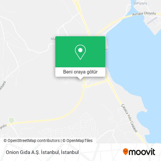 Onion Gıda A.Ş. İstanbul harita