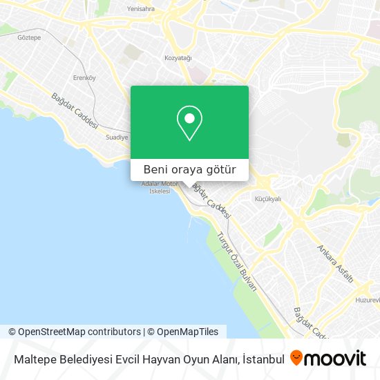 Maltepe Belediyesi Evcil Hayvan Oyun Alanı harita