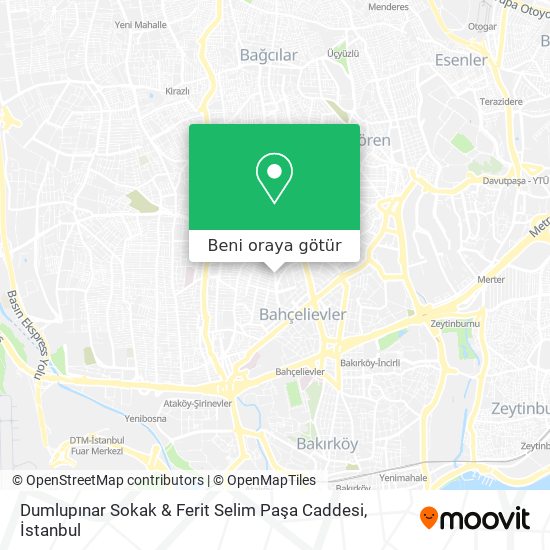 Dumlupınar Sokak & Ferit Selim Paşa Caddesi harita