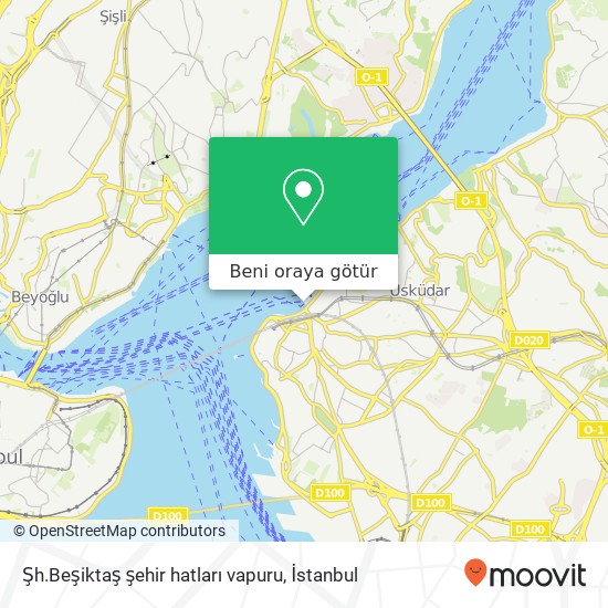 Şh.Beşiktaş şehir hatları vapuru harita