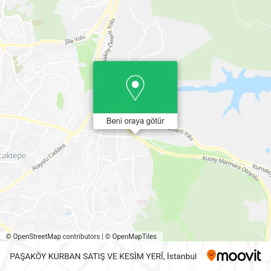 PAŞAKÒY KURBAN SATIŞ VE KESÎM YERÎ harita