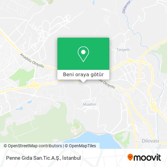 Penne Gıda San.Tic.A.Ş. harita