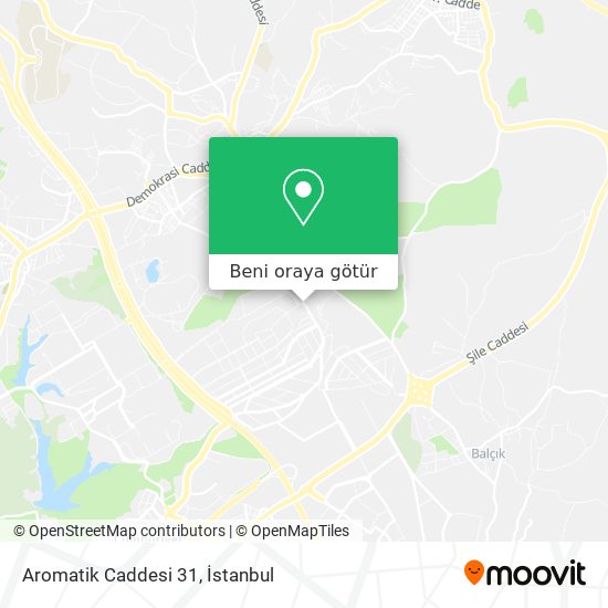 Aromatik Caddesi 31 harita