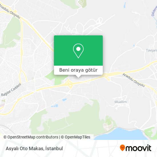 Asyalı Oto Makas harita