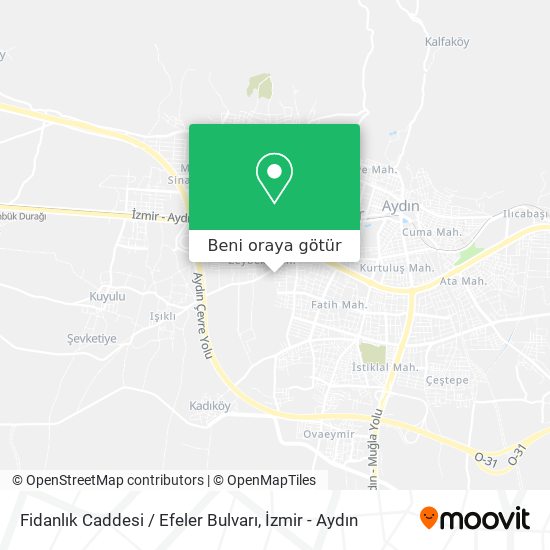 Fidanlık Caddesi / Efeler Bulvarı harita