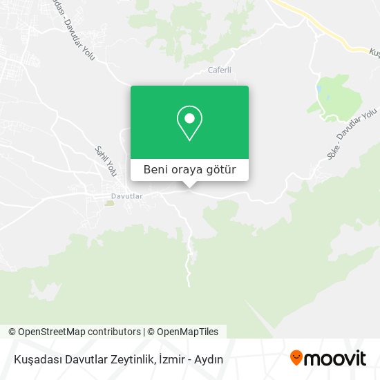Kuşadası Davutlar Zeytinlik harita