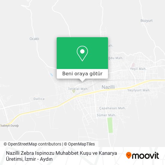 Nazilli Zebra Ispinozu Muhabbet Kuşu ve Kanarya Üretimi harita