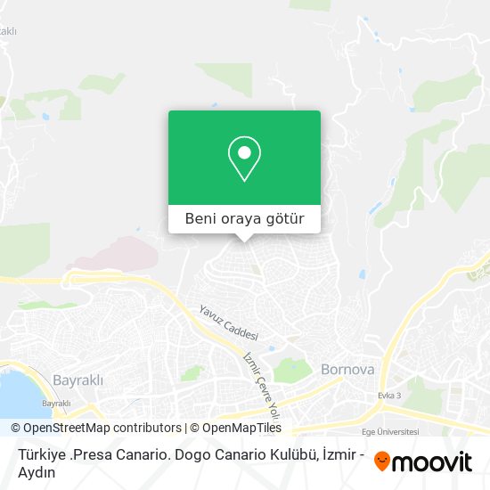 Türkiye .Presa Canario. Dogo Canario Kulübü harita