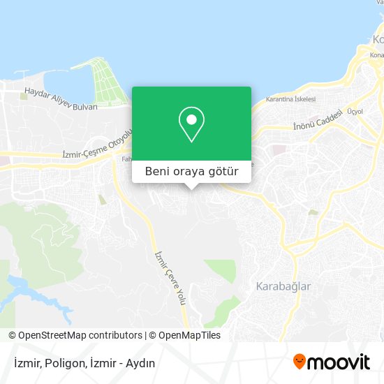 İzmir, Poligon harita