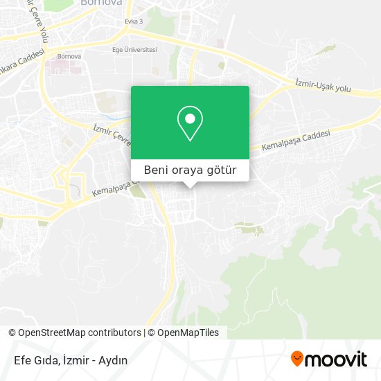 Efe Gıda harita