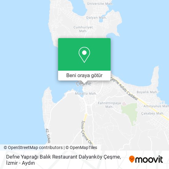 Defne Yaprağı Balık Restaurant Dalyanköy Çeşme harita