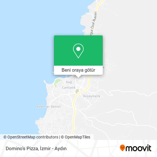 Domino's Pizza harita