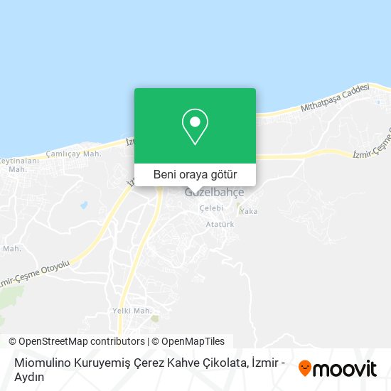 Miomulino Kuruyemiş Çerez Kahve Çikolata harita
