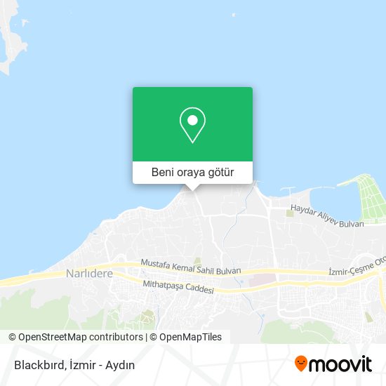 Blackbırd harita