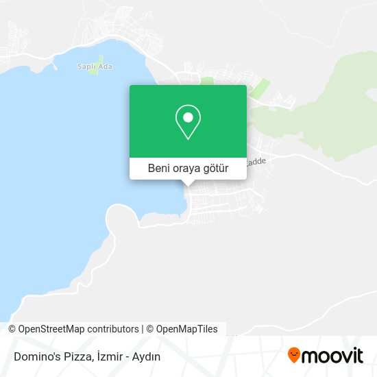 Domino's Pizza harita