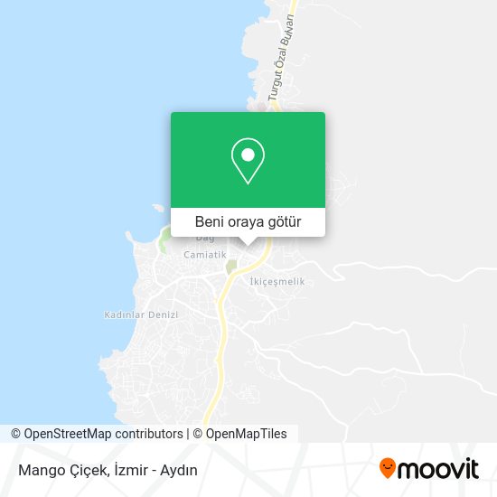 Mango Çiçek harita