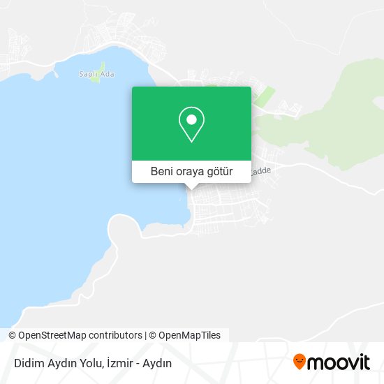 Didim Aydın Yolu harita