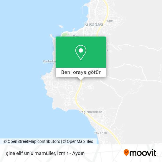 çine elif unlu mamüller harita