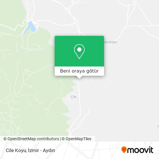 Cile Koyu harita