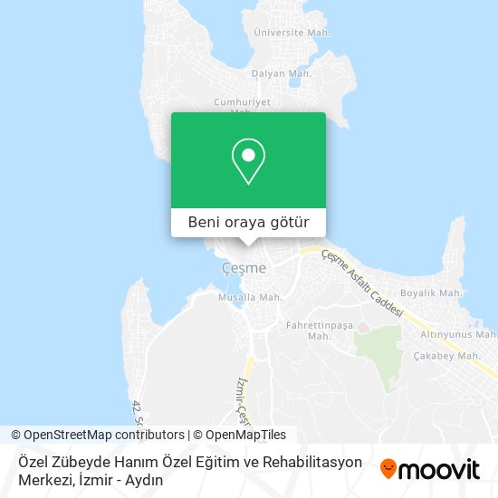 Özel Zübeyde Hanım Özel Eğitim ve Rehabilitasyon Merkezi harita