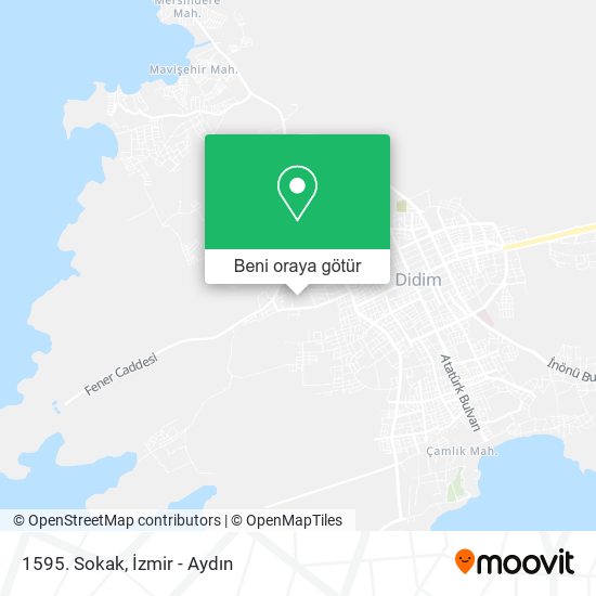1595. Sokak harita