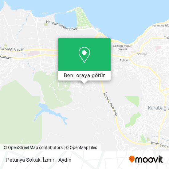 Petunya Sokak harita