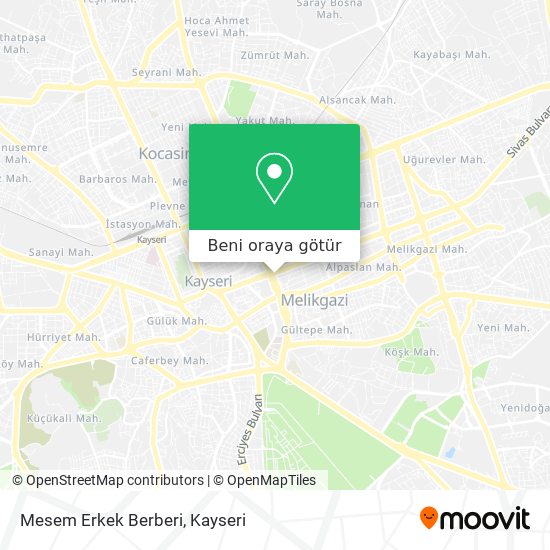 Mesem Erkek Berberi harita