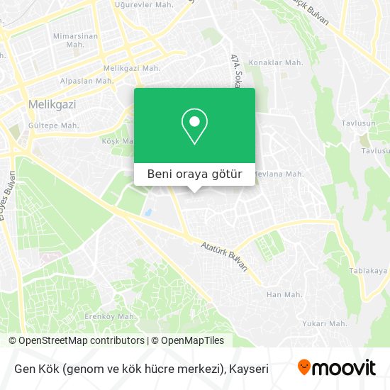 Gen Kök (genom ve kök hücre merkezi) harita