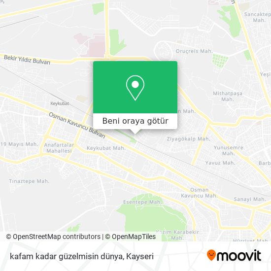 kafam kadar güzelmisin dünya harita