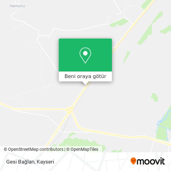 Gesi Bağları harita
