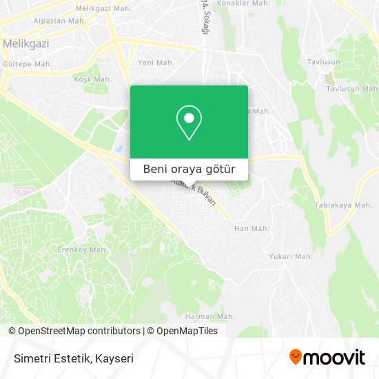 Simetri Estetik harita