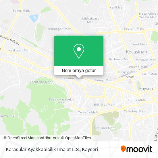 Karasular Ayakkabicilik Imalat L.S. harita