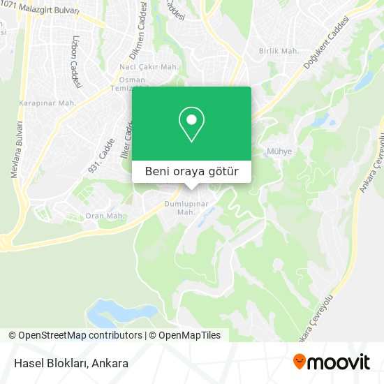 Hasel Blokları harita